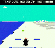 Antarctic Adventure