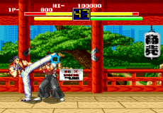 Art of Fighting