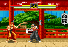Art of Fighting