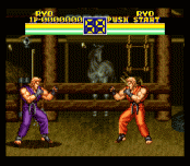 Art of Fighting