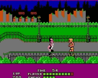 Bad Street Brawler
