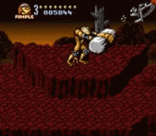 Battletoads in Battlemaniacs
