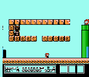 Bowser's Revenge v2a