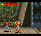 Brawl Brothers