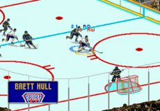 Brett Hull Hockey '95