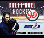 Brett Hull Hockey 95