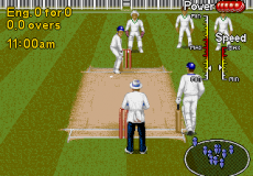 Brian Lara Cricket 96 (March 1996)