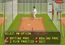Brian Lara Cricket 96