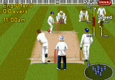 Brian Lara Cricket 96