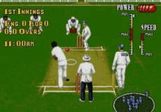 Brian Lara Cricket