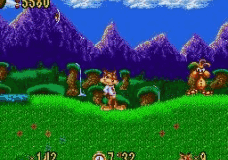 Bubsy