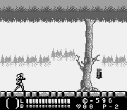 Игра Castlevania – Legends