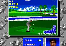 Chi Chi's Pro Challenge Golf