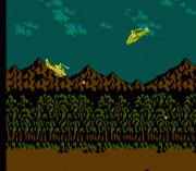 Cobra Command