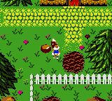 Игра Conkers Pocket Tales