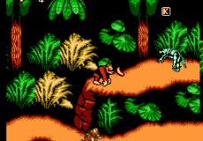 Donkey Kong Country 4