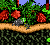 Игра Donkey Kong Country