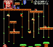 Donkey Kong Jr. and Jr. Lesson