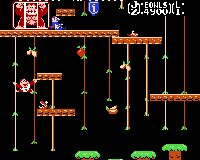 Donkey Kong Jr