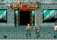 Double Dragon 3