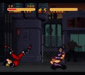 Double Dragon V - The Shadow Falls