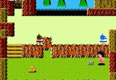 Игра Dragon Ball - Le Secret du Dragon