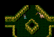 Dragon Buster II - Seal of Darkness