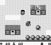 Игра Dragon Slayer Gaiden