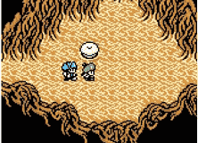 Игра Dragon Warrior Monsters 2 - Tara