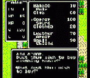 Dragon Warrior