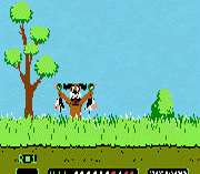 Duck Hunt