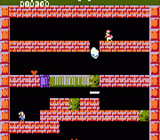 Duck Maze