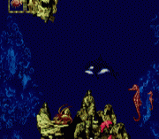 Ecco Jr. (February 1995)