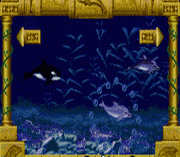 Ecco Jr. (March 1995)