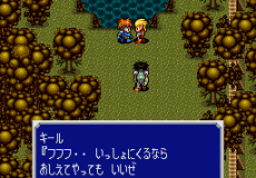 Игра Elfaria II - The Quest of the Meld