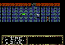 Fatal Labyrinth