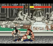 Fighter's History