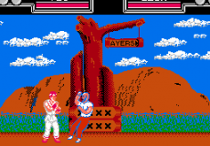 Fighting Hero
