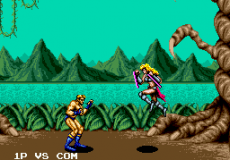 Fighting Masters