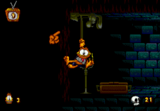 Garfield: Caught in the Act