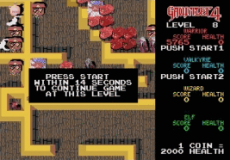 Игра Gauntlet IV