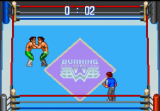 Gekitou Burning Pro Wrestling