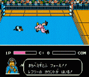 Gekitou Pro Wrestling!! – Toukon Densetsu
