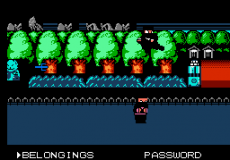 Ghost Ninja (River City Ransom Hack)