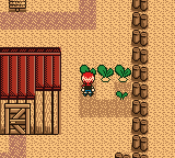 Игра Harvest Moon GBC