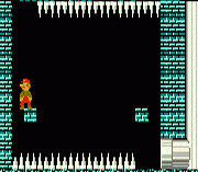 Hyper Mario Bros 5
