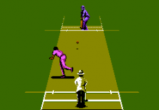 International Cricket