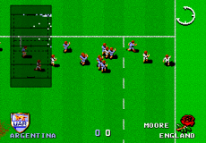 International Rugby