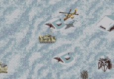 Jungle Strike