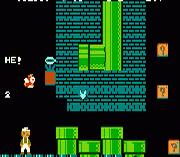Junk Mario Pro